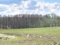 Prodej pozemku, Františkovy Lázně, 11892 m2