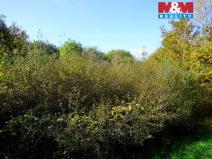 Prodej pozemku pro bydlení, Třebeň, 3689 m2