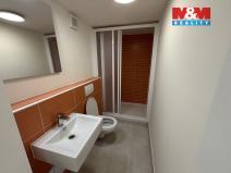 Pronájem bytu 1+kk, Plzeň - Jižní Předměstí, Čelakovského, 33 m2
