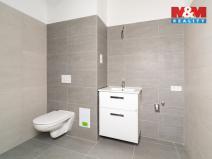 Pronájem bytu 4+kk, Cheb, Břehnická, 112 m2