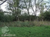 Dražba pozemku, Čisovice, 11062 m2