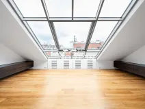 Pronájem bytu 5+1, Praha - Vinohrady, Mánesova, 220 m2