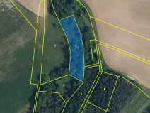 Prodej louky, Sychrov, 4569 m2