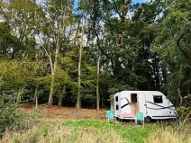 Prodej lesa, Postupice, 893 m2