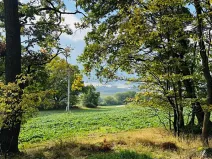 Prodej lesa, Postupice, 470 m2