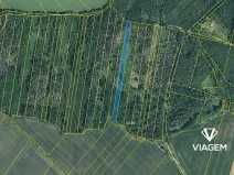 Prodej podílu lesa, Lukovany, 7046 m2