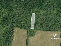 Prodej lesa, Dobrovice, 3778 m2