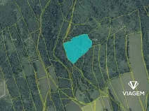 Prodej lesa, Spálov, 19116 m2