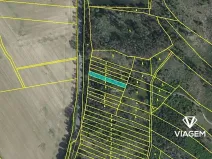 Prodej lesa, Petrůvky, 711 m2