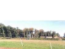 Prodej pozemku, Sedliště, 338 m2