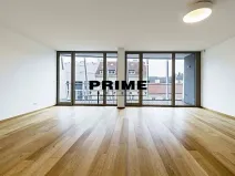 Pronájem bytu 4+kk, Praha - Smíchov, Holečkova, 178 m2