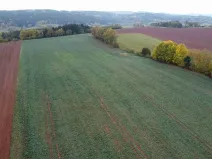 Dražba pole, Staré Buky, 71140 m2