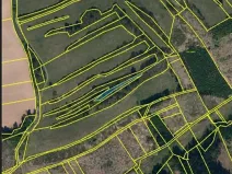 Prodej lesa, Častrov, 768 m2