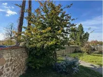 Prodej rodinného domu, Slezské Rudoltice, 83 m2