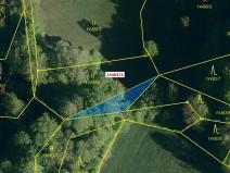 Dražba lesa, Hovězí, 173 m2