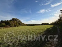 Prodej pole, Roztoky, 40596 m2