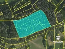 Prodej podílu lesa, Koroužné, 3262 m2