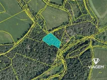 Prodej podílu lesa, Bošice, 1711 m2