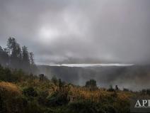 Prodej pozemku pro bydlení, Žítková, 6433 m2