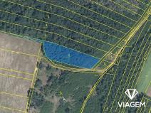 Prodej podílu lesa, Rybníky, 2697 m2