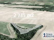 Prodej podílu lesa, Mělnické Vtelno, 8584 m2