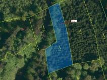 Dražba lesa, Valašská Senice, 1662 m2