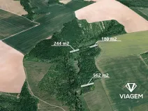 Prodej podílu lesa, Hradčovice, 985 m2