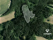 Prodej lesa, Bochovice, 10509 m2