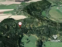 Prodej podílu lesa, Sudislav nad Orlicí, 21329 m2