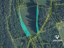Prodej lesa, Červená Řečice, 1252 m2