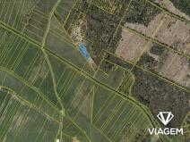 Prodej lesa, Borkovice, 3561 m2