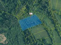 Dražba lesa, Rabí, 6042 m2