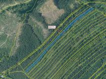 Dražba lesa, Netřebice, 6768 m2