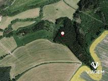 Prodej podílu lesa, Radošovice, 2390 m2