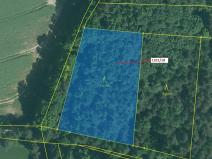 Dražba lesa, Jílovice, 3594 m2