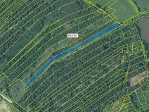 Dražba lesa, Netřebice, 8502 m2