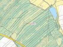 Dražba lesa, Netřebice, 8502 m2