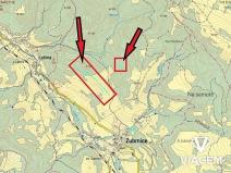 Prodej podílu lesa, Zubrnice, 2835 m2