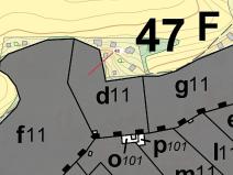 Dražba lesa, Sýkořice, 8962 m2