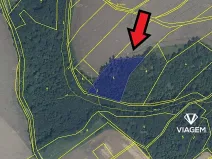 Prodej podílu lesa, Bítov, 3512 m2