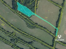 Prodej lesa, Tvrdkov, 5303 m2