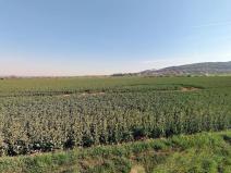 Prodej podílu pozemku pro bydlení, Martinice, 1521 m2