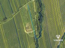 Prodej podílu pole, Hrubá Vrbka, 743 m2