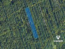 Prodej podílu lesa, Kněždub, 3060 m2