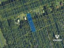 Prodej podílu lesa, Kněždub, 3060 m2