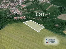 Prodej pole, Medlovice, 3019 m2