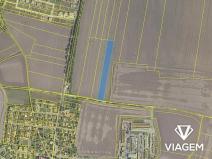 Prodej podílu pole, Bořanovice, 4229 m2