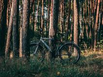 Prodej lesa, Chyňava, 3078 m2