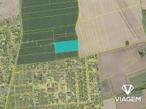 Prodej podílu pole, Sibřina, 3856 m2