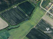 Prodej pole, Petrůvky, 200 m2